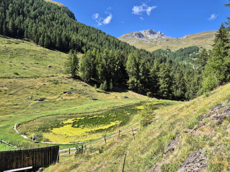 Côté Nord. Gollié d'Arbey, val d'Hérens, Valais.