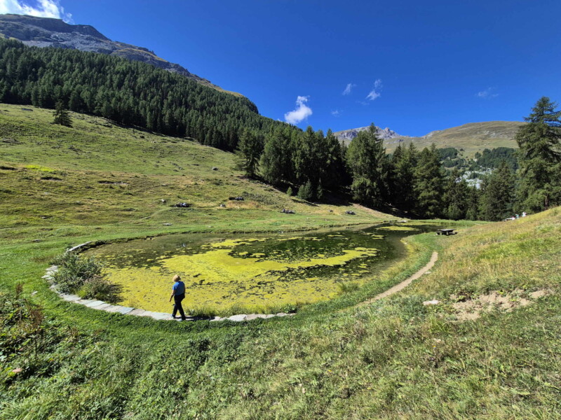 Côté Est. Gollié d'Arbey, val d'Hérens, Valais.