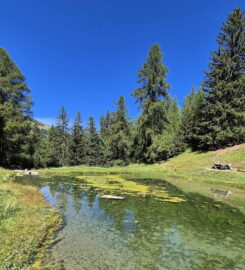 🚤 Le Gollié d’Arbey – Evolène