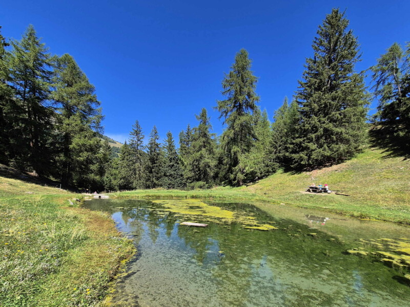Côté Sud. Gollié d'Arbey, val d'Hérens, Valais.