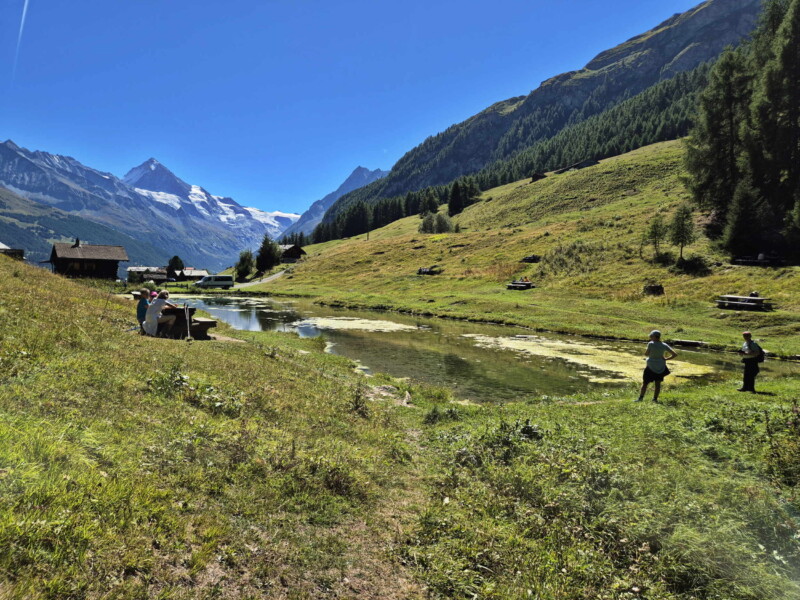 Côté Nord. Gollié d'Arbey, val d'Hérens, Valais.