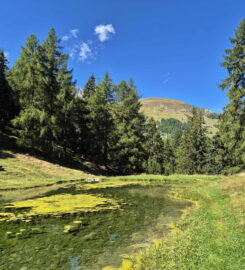 🚤 Le Gollié d’Arbey – Evolène