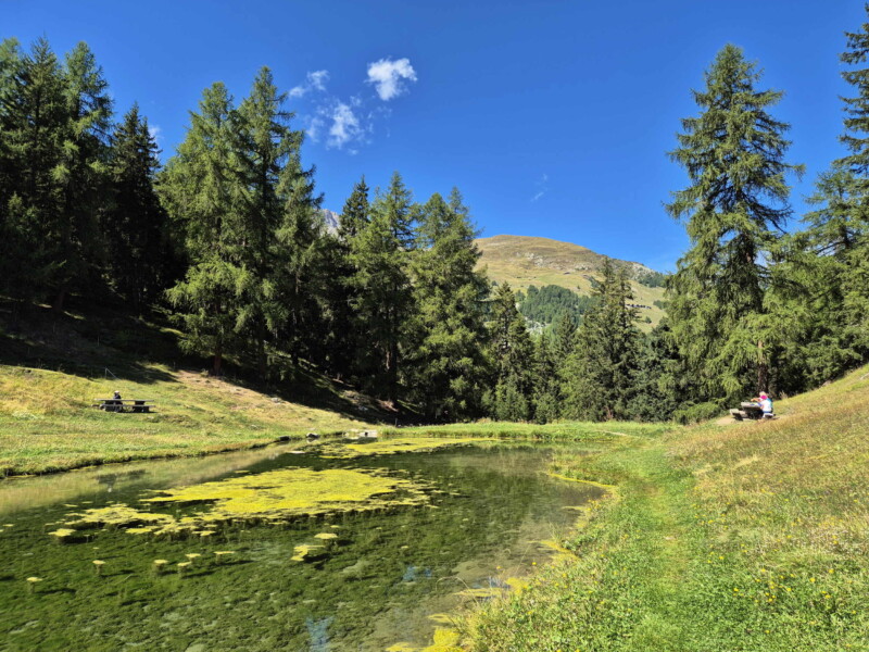 Côté Est. Gollié d'Arbey, val d'Hérens, Valais.