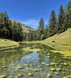 🚤 Le Gollié d’Arbey – Evolène