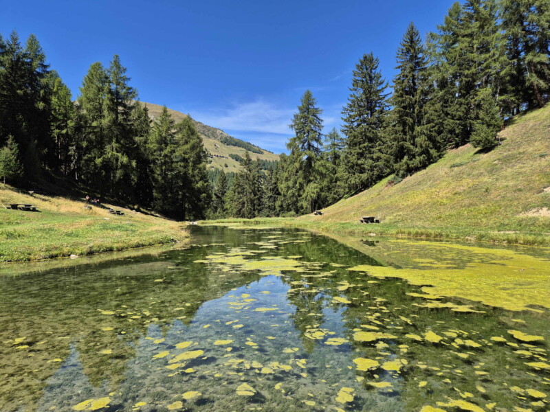 Côté Est. Gollié d'Arbey, val d'Hérens, Valais.