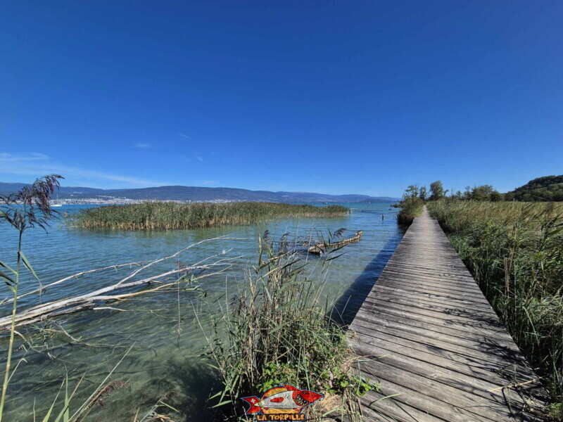 Le chemin depuis Portablan. Le chemin depuis Portablan.