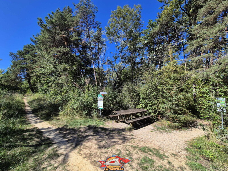 Le sentier du bord du lac sur la gauche, une belle table de pique nique, et, sur la droite le sentier qui mène à la plage. Le sentier du bord du lac sur la gauche, une belle table de pique nique, et, sur la droite le sentier qui mène à la plage.