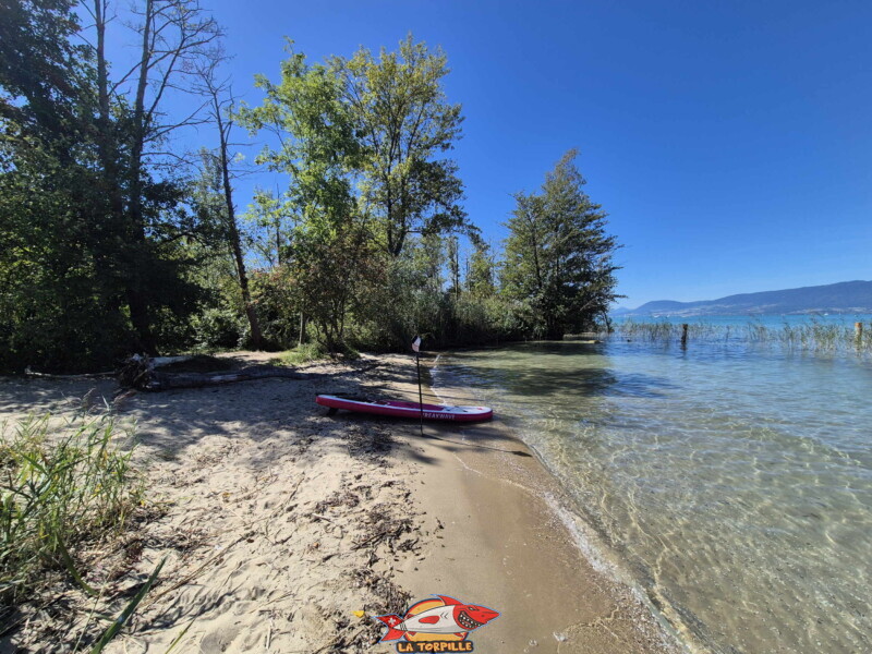 Les image de la plage de Chabrey depuis le nord.