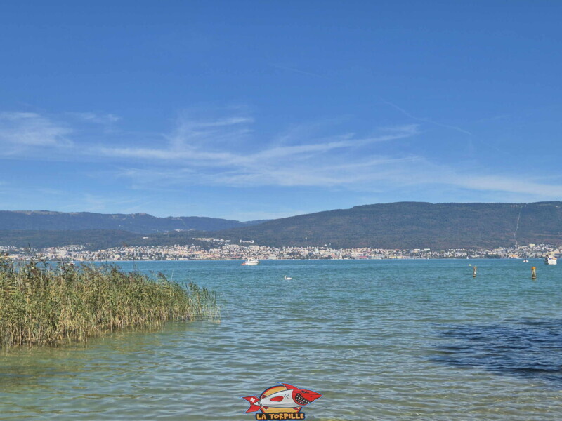 La ville de Neuchâtel, avec, sur la droite, la trouée du funiculaire de Chaumont. La ville de Neuchâtel, avec, sur la droite, la trouée du funiculaire de Chaumont.