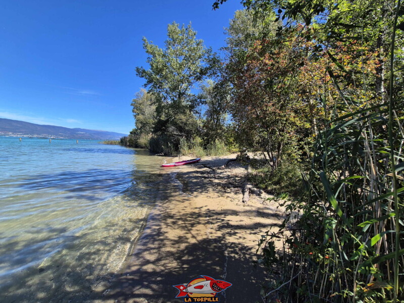 Les image de la plage de Chabrey depuis le sud,