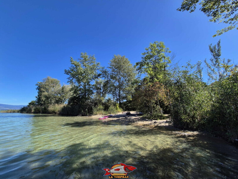 Plage de Chabrey