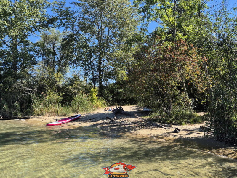 Les image de la plage de Chabrey depuis le sud,