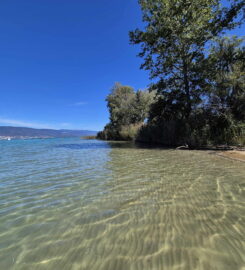 🏖️ Plage de Chabrey- Vully-les-Lacs