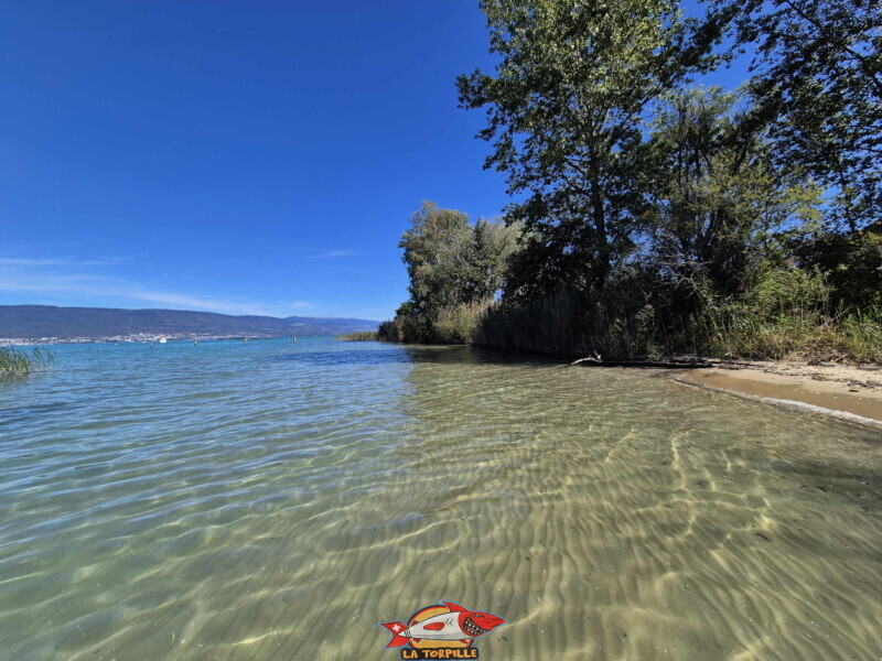 Les image de la plage de Chabrey depuis le lac.
