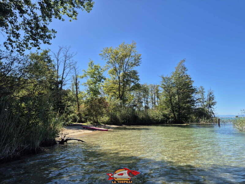Les image de la plage de Chabrey depuis le nord.