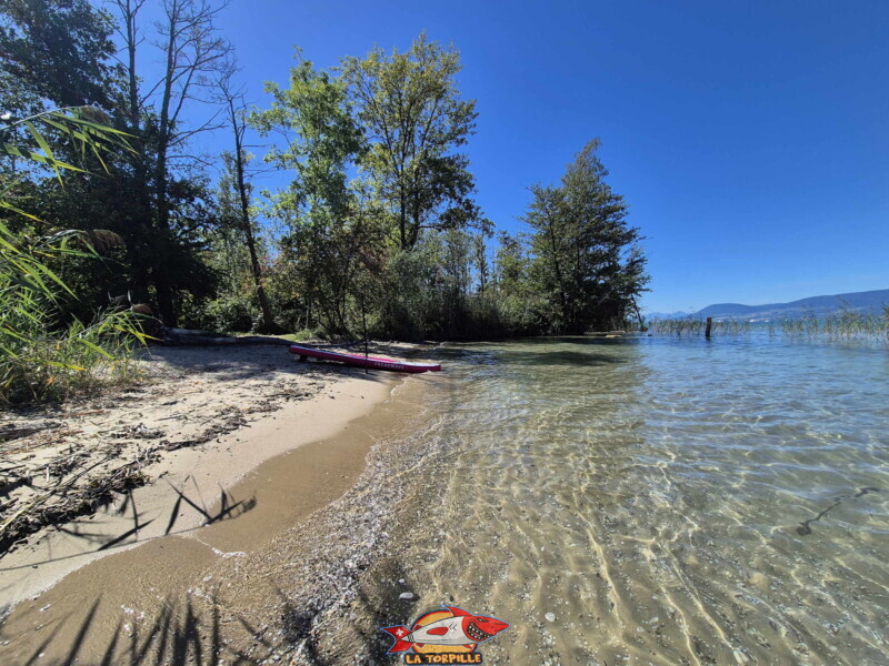 Plage de Chabrey Plage de Chabrey