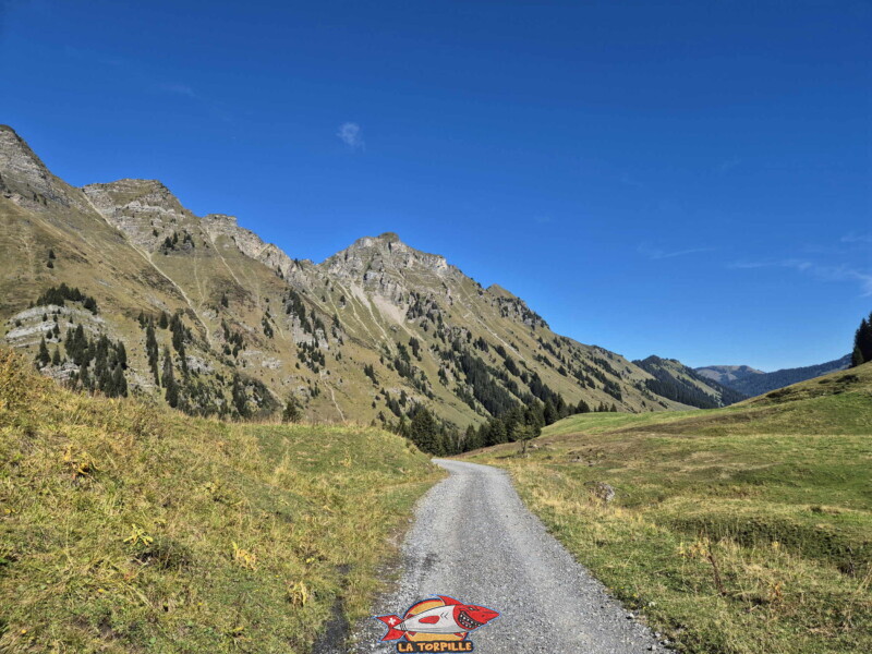 Le début sur la balade sur la route en gravier. Le première partie du parcours relie le parking de Tovassière au lac de Chésery. Le début sur la balade sur la route en gravier. Le première partie du parcours relie le parking de Tovassière au lac de Chésery.