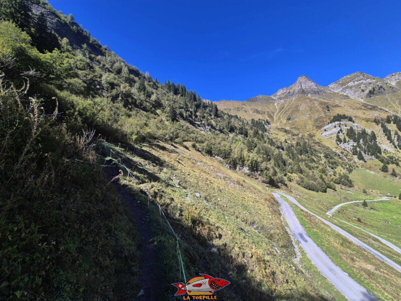 Le chemin quitte la route pour emprunter un petit sentier. Le première partie du parcours relie le parking de Tovassière au lac de Chésery. Le chemin quitte la route pour emprunter un petit sentier. Le première partie du parcours relie le parking de Tovassière au lac de Chésery.