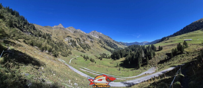 Le vallon de They qui s'entend jusqu'à Morgins depuis le sentier. On remarque la route d'accès en gravier qui mène à Tovassiere sur la droite. Le vallon de They qui s'entend jusqu'à Morgins depuis le sentier. On remarque la route d'accès en gravier qui mène à Tovassiere sur la droite.