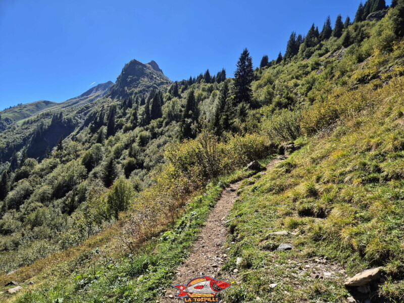 Le première partie du parcours relie le parking de Tovassière au lac de Chésery.