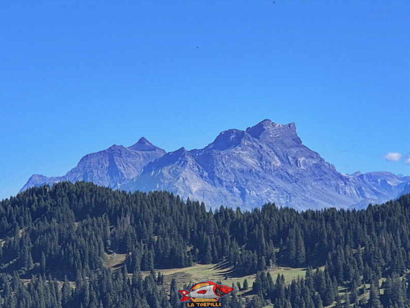 Le magnifique zoom sur le massif des Diablerets. Le magnifique zoom sur le massif des Diablerets.