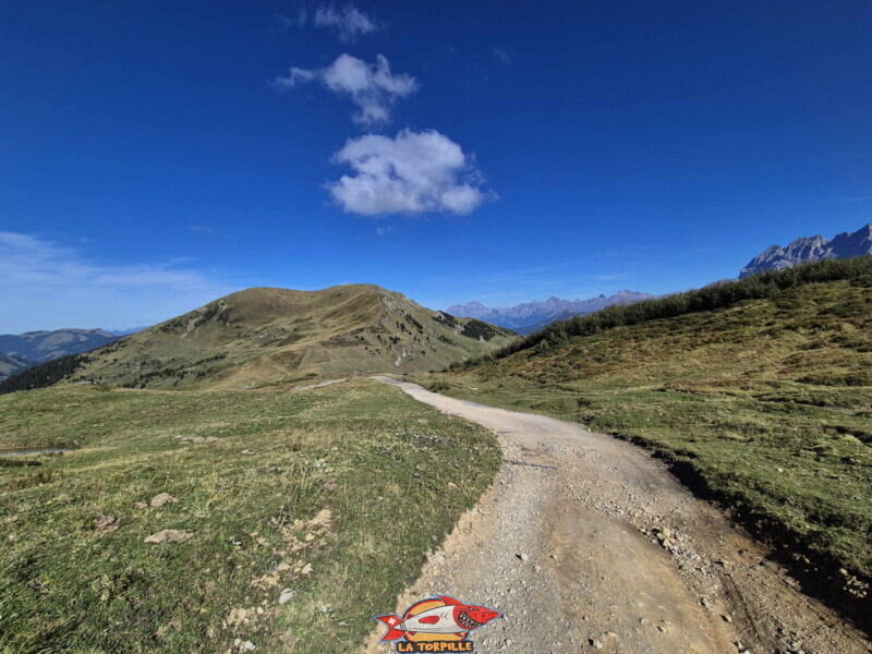 Le chemin en direction du col des portes du Soleil. colline des Crosets. Le chemin en direction du col des portes du Soleil. colline des Crosets.