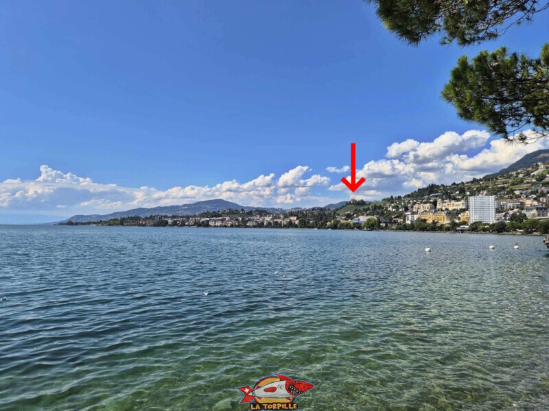 La vue sur le château du Châtelard depuis l'esplanade Freddie Mercury de Montreux. La vue sur le château du Châtelard depuis l'esplanade Freddie Mercury de Montreux.
