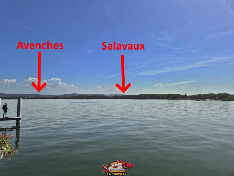 La plage d'Avenches à côté de son port et la plage de Salavaux.