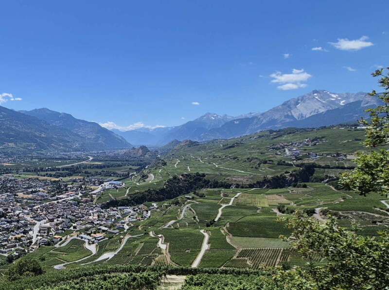 La ville de St-Léonard avec le vignoble sur la droite. La forêt, au milieu de l'image, dans laquelle coule la rivière Lienne. En arrière plan, la ville de Sion avec ses fameuses collines. La ville de St-Léonard avec le vignoble sur la droite. La forêt, au milieu de l'image, dans laquelle coule la rivière Lienne. En arrière plan, la ville de Sion avec ses fameuses collines.