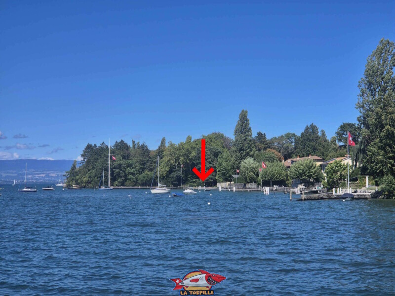 Le ponton du Port-Bleu depuis l'ancien débarcadère de la plage du port de Bellerive. Le ponton du Port-Bleu depuis l'ancien débarcadère de la plage du port de Bellerive.