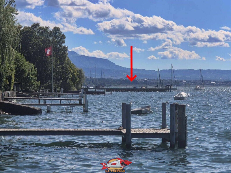Le zoom sur le ponton de l'ancien débarcadère de la plage du port de Bellerive. Le zoom sur le ponton de l'ancien débarcadère de la plage du port de Bellerive.